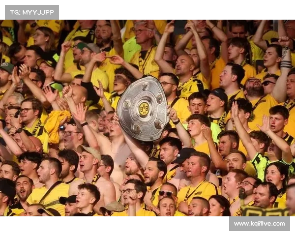 多特蒙德3-0不莱梅紧追拜仁，吉拉西锁定胜局